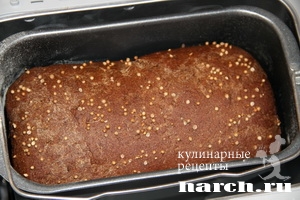 hleb borodinskiy hp_7