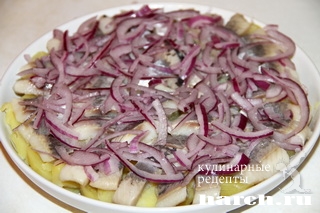 salat zakuska s seldiu borodino_06