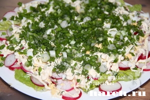 salat s redisom i tuncom luisiana_4