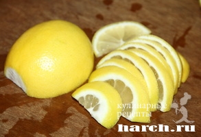 kvashenie limoni_2