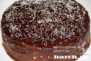 tort shokoladniy medovik_17