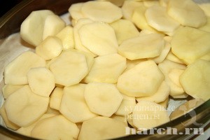 duhovoy kartofel po-vengerski_2