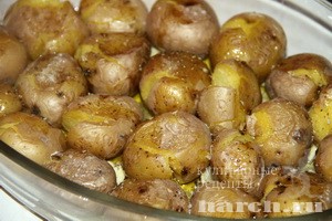 molodoy kartofel po-ispansky_5