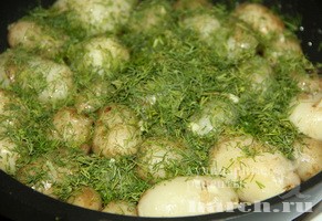 molodoy kartofel s ukropom_4