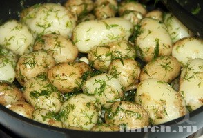 molodoy kartofel s ukropom_5