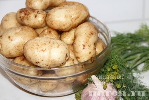 molodoy kartofel s ukropom_6