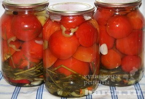 pomidory kubanskie_5