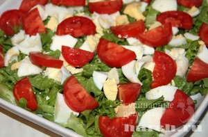 zeleniy salat s kopchenim bekonom kolambia_1