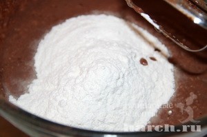 shokoladnie keksy s tvorogom i kokosom_4
