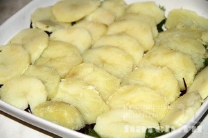kartofelniy salat s pechenim percem i brinsoy_4