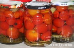 pomidory galina_4