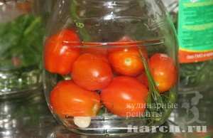 pomidory tverskie_2