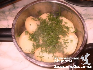 kartofel-molodoi-s-maslom-i-zeleniyu_3