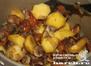 Картофельное рагу с грибами