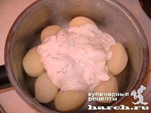 molodoi-kartofel-s-chesnokom-v-smetane_3