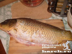 riba-zharenaya_1