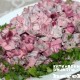 salat is govyagiey pecheni so svekloy salomeya_4