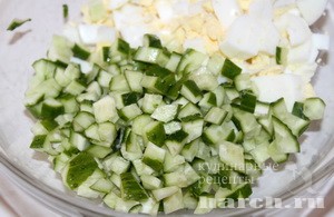 salat is ogurcov s midiyami irina_1