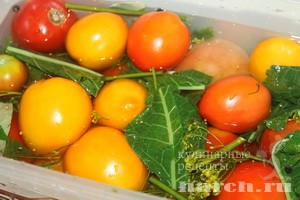 solenie pomidori kvashenie_3