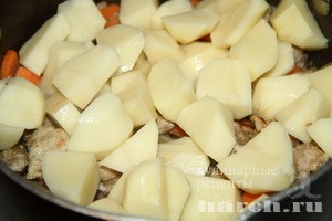 myaso s kartofelem v sirnom souse_3