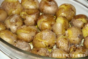 molodoy kartofel po-portugalsky_5