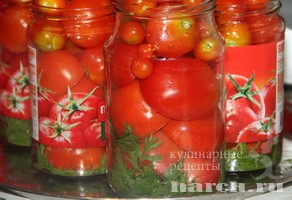 pomidory marinovanie s morkovnoy botvoy_1