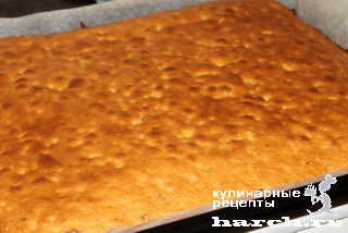 Бисквитные пирожные с фундуком "Белочка"