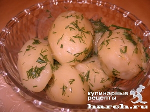 kartofel-molodoi-s-maslom-i-zeleniyu_4