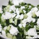 salat is svegih ogurcov s brinzoy lacho_4